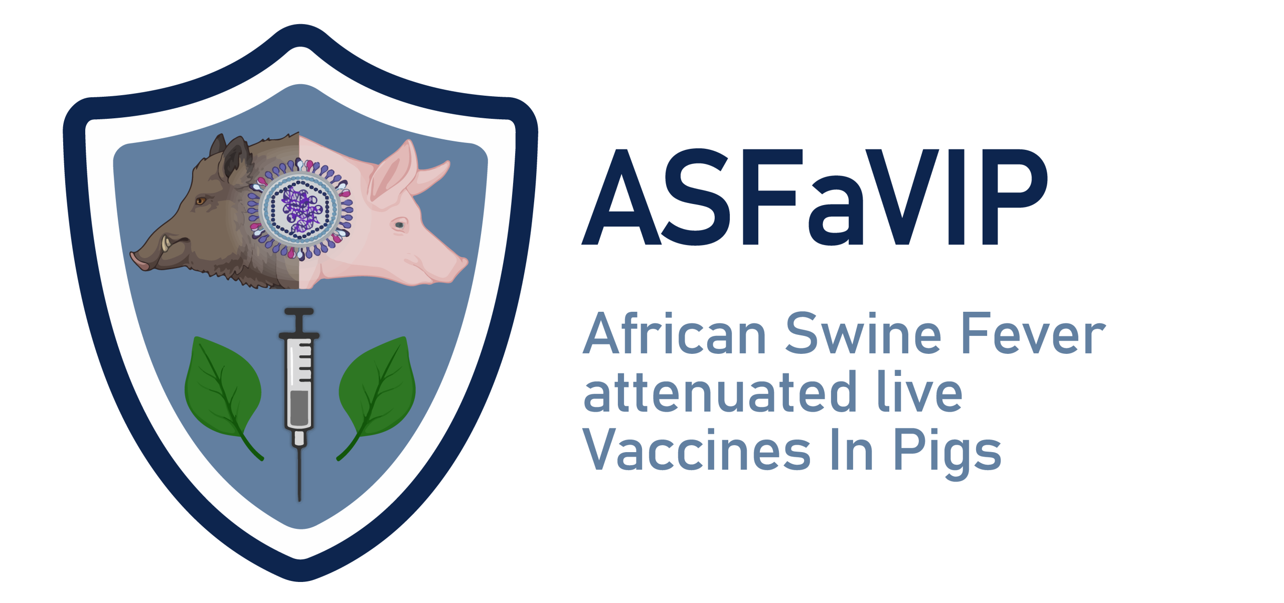 African Swine Fever attenuated live Vaccines In Pigs