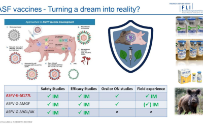 ASFaVIP project was presented by Sandra Blome at the 34th European Congress of AI VETS